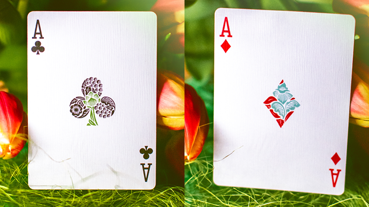 Butterfly Seasons Marked Playing Cards (Spring)