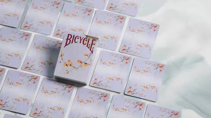 Bicycle Seasons (Winter Edition) Playing Cards 