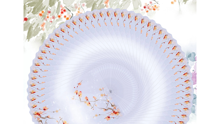 Bicycle Seasons (Winter Edition) Playing Cards 