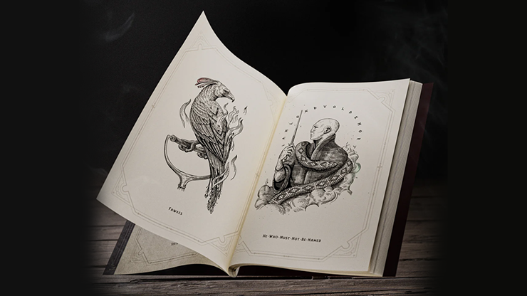 Harry Potter Self-Colouring Book - Theory 11 