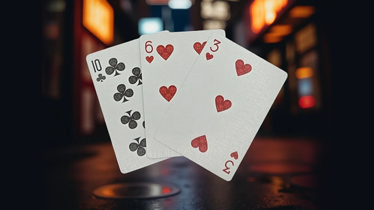 Biker Cats Playing Cards - Collectable Playing Cards 