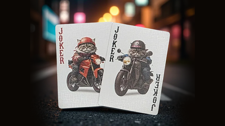 Biker Cats Playing Cards - Collectable Playing Cards – The Card Inn