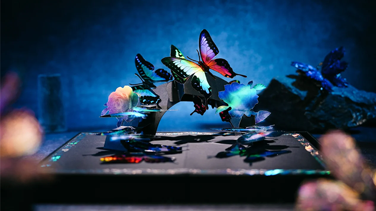 Morpho V2 Playing Cards Collection Boxset - TCC Fashion (4 Gilded Decks!) 