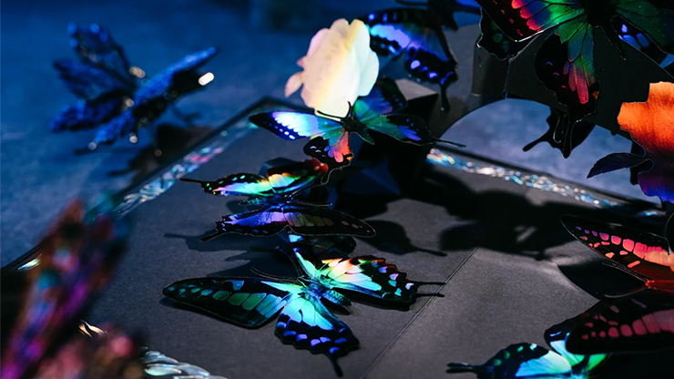 Morpho V2 Playing Cards Collection Boxset - TCC Fashion (4 Gilded Decks!) 