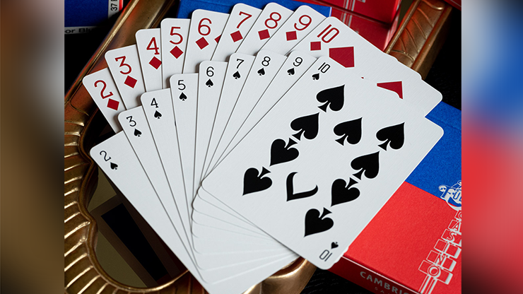 Ace Fulton's Casino Sample Playing Cards 