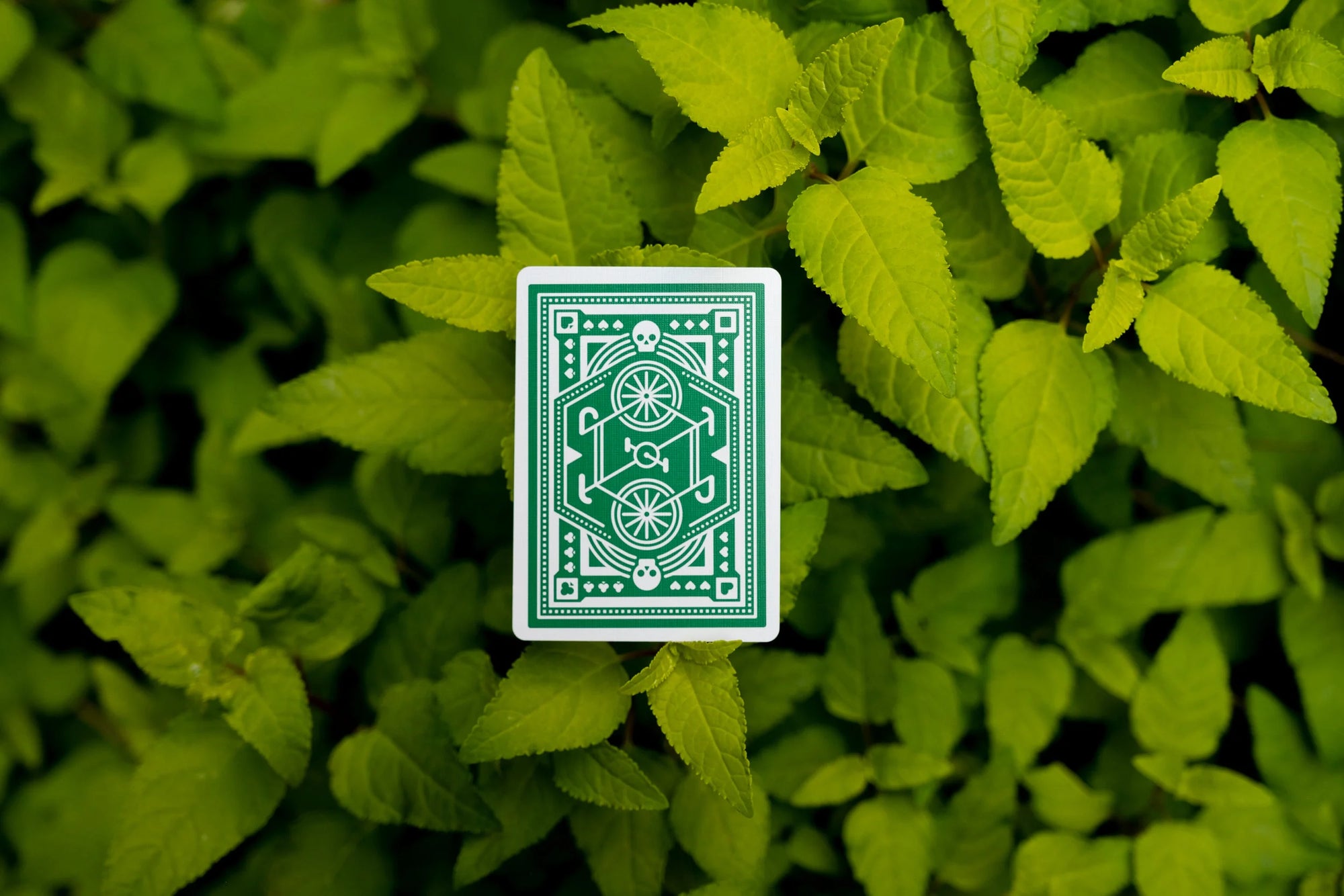 DKNG Green Wheels Playing Cards - Art of Play