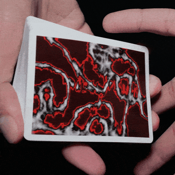 Fractal Playing Cards (Carmine) - Missing New York
